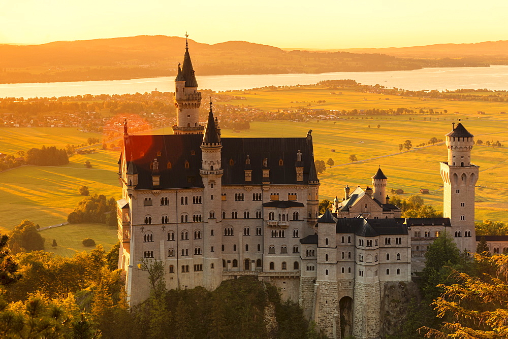 Neuschwanstein Castle at sunset, view to Forggensee Lake, Schwangau, Allgau, Schwaben, Bavaria, Germany, Europe