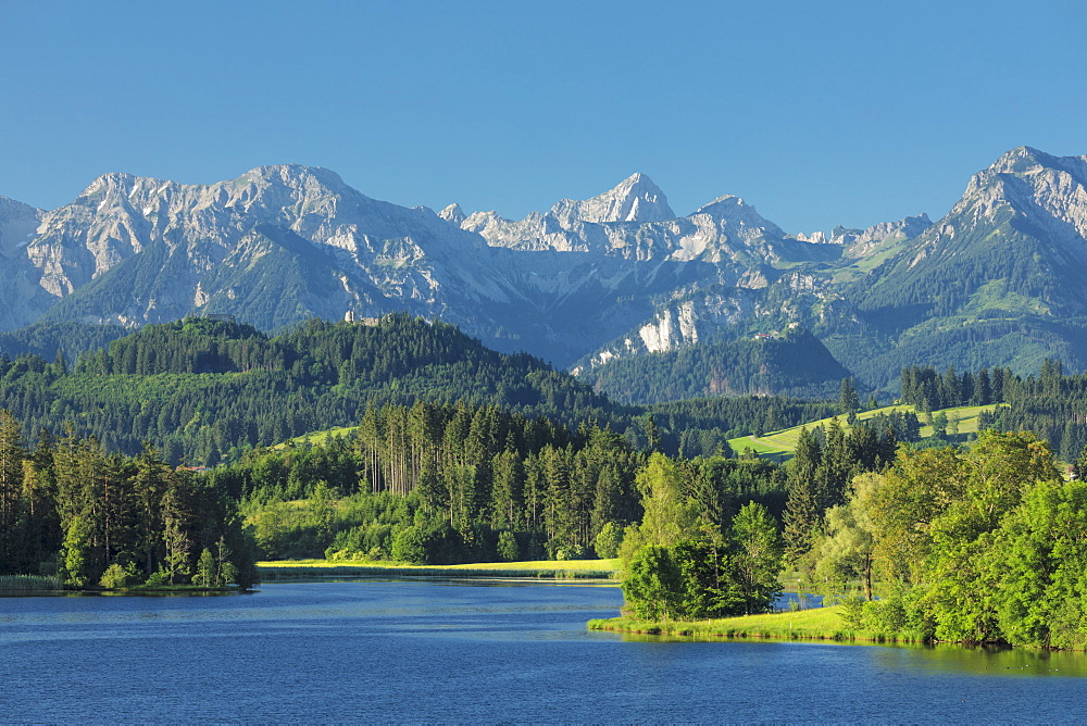 Schwaltenweiher Lake, Seeg, Allgau Alps, Allgau, Schwaben, Bavaria, Germany, Europe