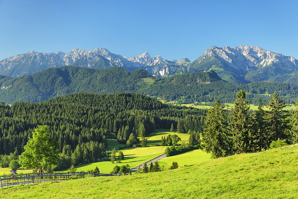 View from Schlossbergalm to Allgau Alps, Zell, Allgau, Schwaben, Bavaria, Germany, Europe