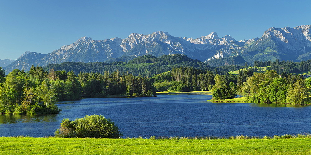 Schwaltenweiher Lake, Seeg, Allgau Alps, Allgau, Schwaben, Bavaria, Germany, Europe