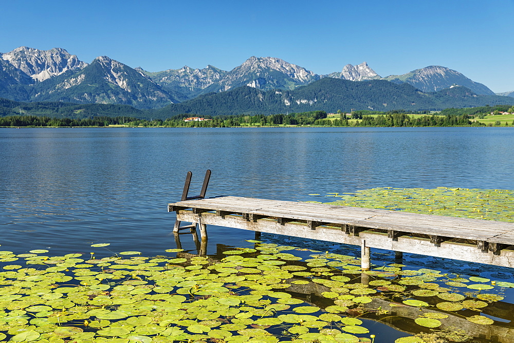 Jetty at Hopfensee lake, Hopfen am See, Allgau Alps, Allgau, Schwaben, Bavaria, Germany, Europe