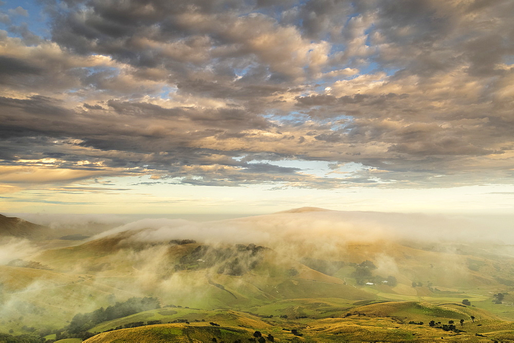 Otago Peninsula, Dunedin, Otago, South Island, New Zealand, Pacific