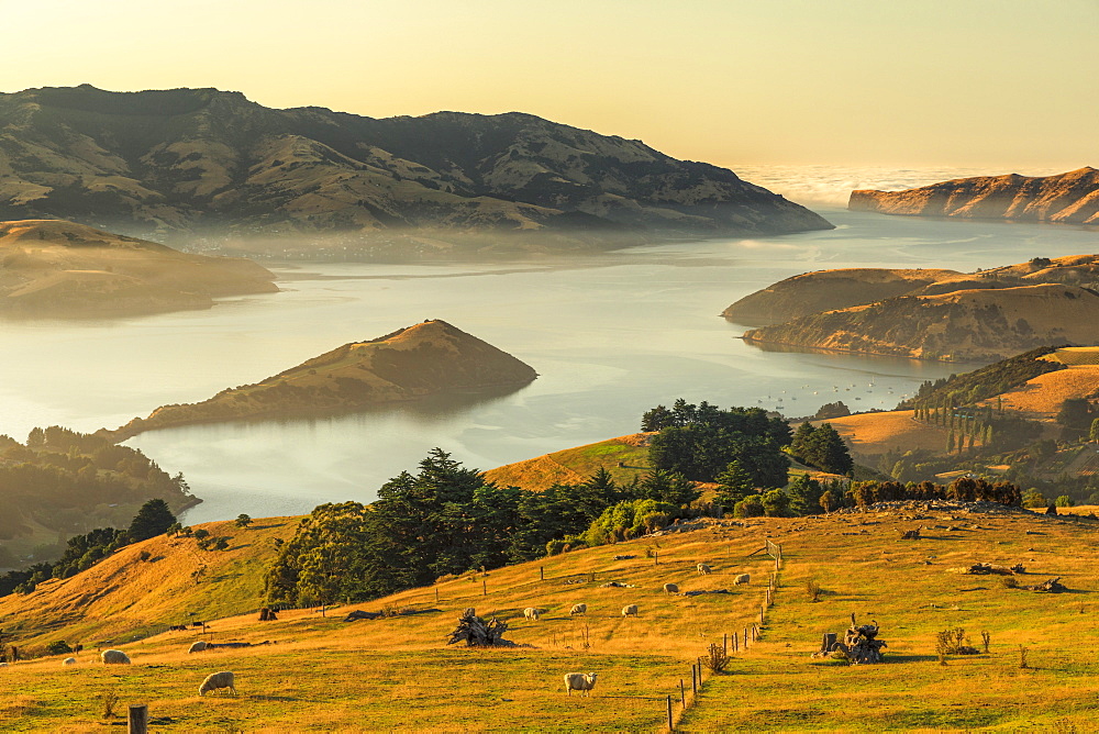 Banks Peninsula at sunrise, Canterbury, South Island, New Zealand, Pacific