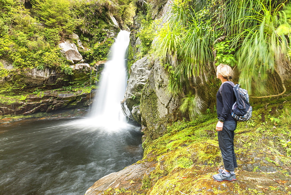 Wainui Falls, Wainui Falls Track, Golden Bay, Tasman, South Island, New Zealand, Pacific