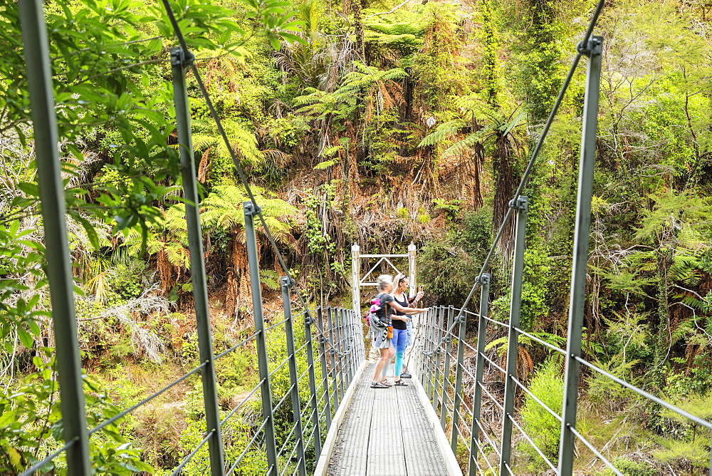 Suspension Bridge over Wainui River, Wainui Falls Track, Golden Bay, Tasman, South Island, New Zealand, Pacific