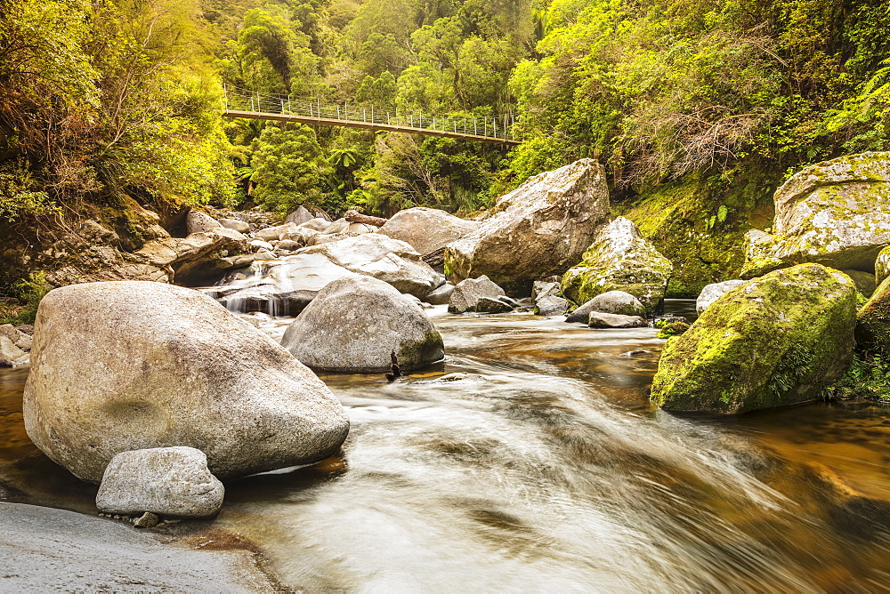 Suspension Bridge over Wainui River, Wainui Falls Track, Golden Bay, Tasman, South Island, New Zealand, Pacific