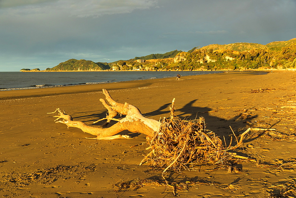 Sunset at Pohara Beach, Golden Bay, Tasman, South Island, New Zealand, Pacific