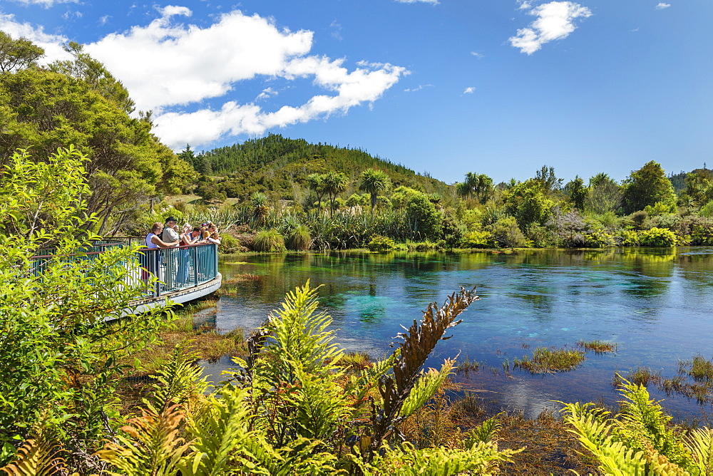 Te Waikoropupu Springs (Pupu Springs), Spring sacred to the Maoris, Golden Bay, Tasman, South Island, New Zealand, Pacific