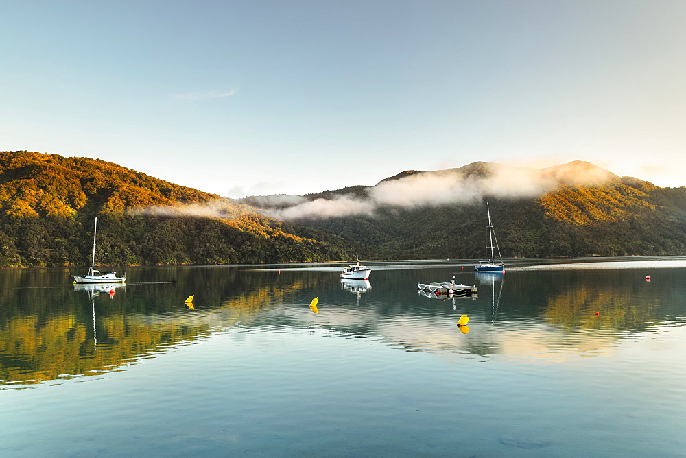 Queen Charlotte Sound and Momorangi Bay at sunrise, Marlborough Sounds, Picton, South Island, New Zealand, Pacific