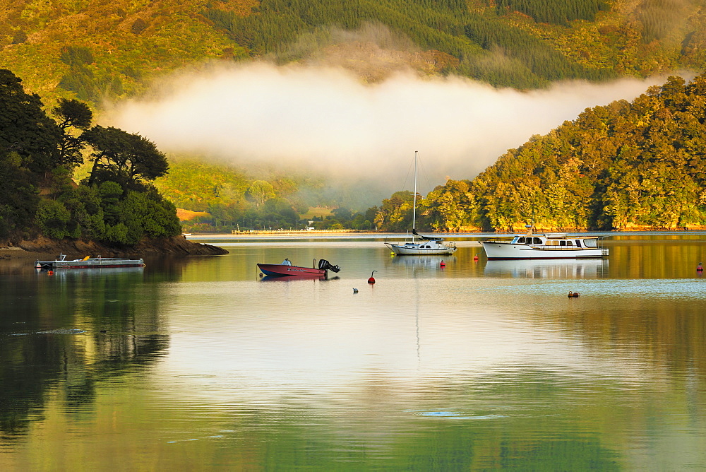 Queen Charlotte Sound and Momorangi Bay at sunrise, Marlborough Sounds, Picton, South Island, New Zealand, Pacific