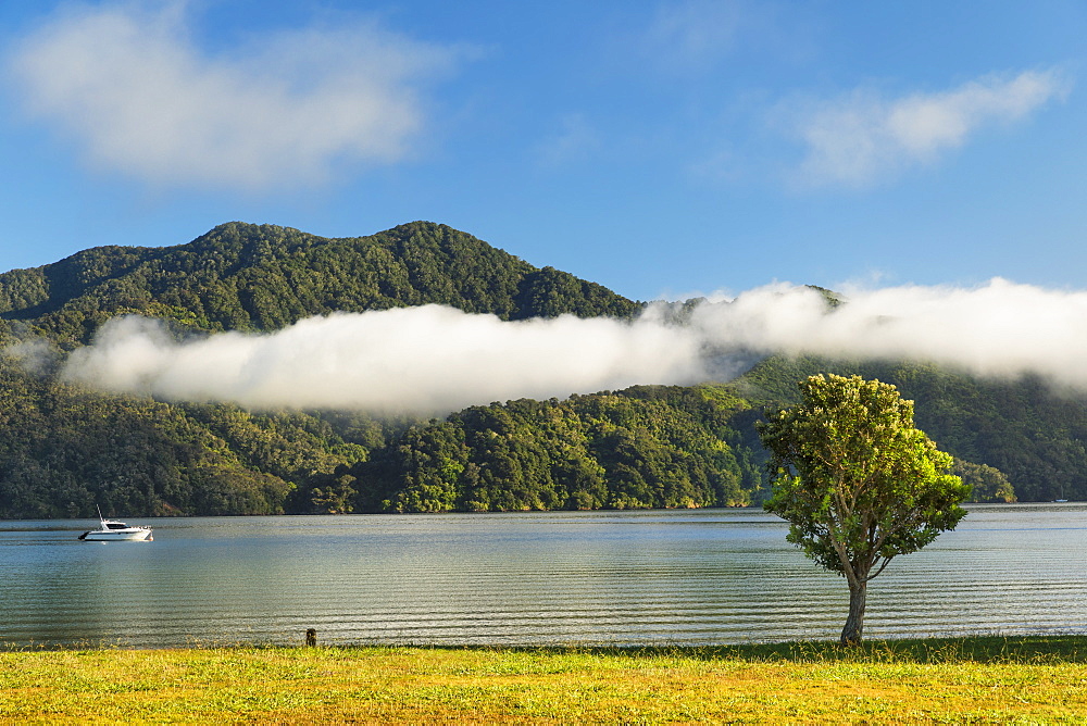 Ngakuta Bay, Marlborough Sounds, Picton, South Island, New Zealand, Pacific