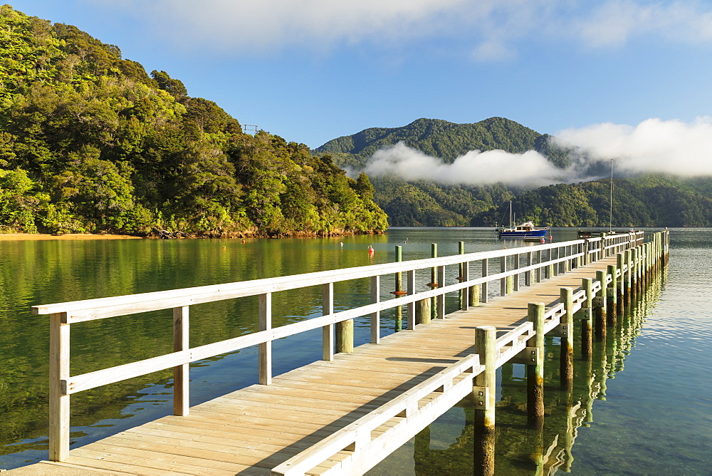 Ngakuta Bay, Marlborough Sounds, Picton, South Island, New Zealand, Pacific