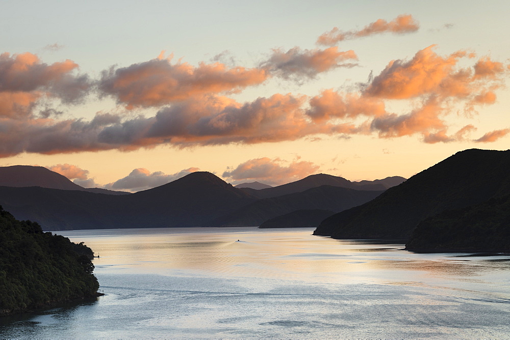 Queen Charlotte Sound at sunrise, Marlborough Sounds, Picton, South Island, New Zealand, Pacific