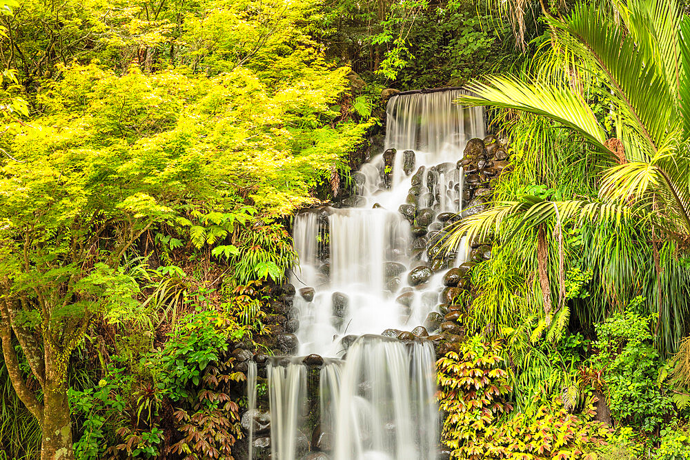 Waterfall in Pukekura Park, botanical garden, New Plymouth, Taranaki, North Island, New Zealand, Pacific