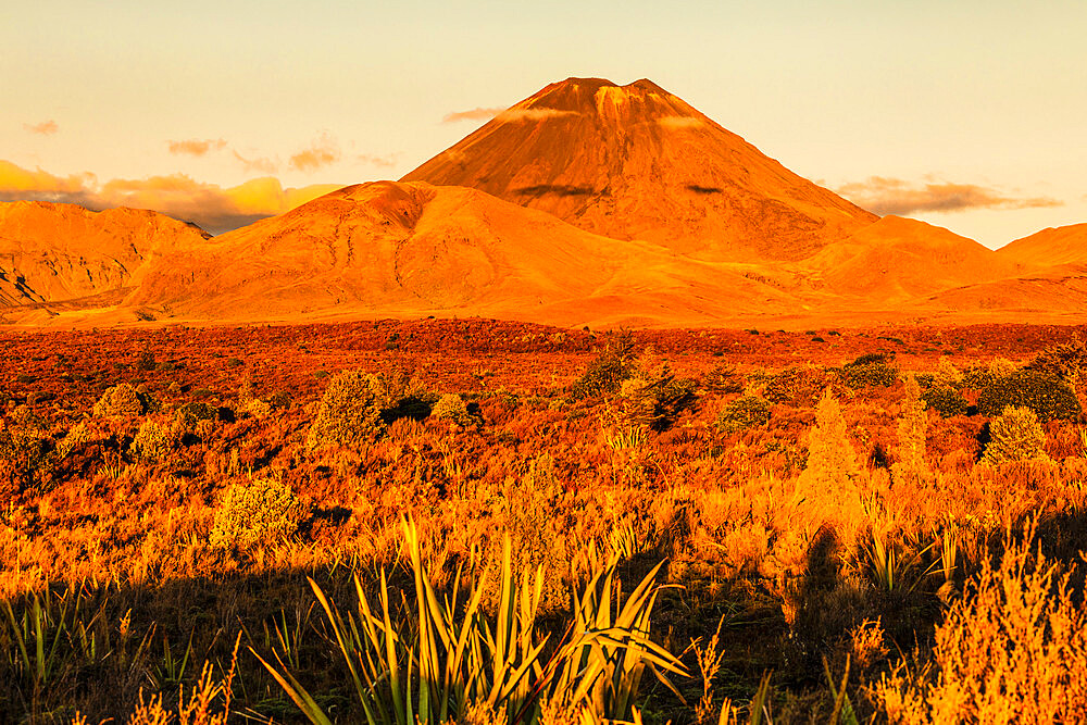 Mount Ngauruhoe, Tongariro National Park, UNESCO World Heritage Site, North Island, New Zealand, Pacific