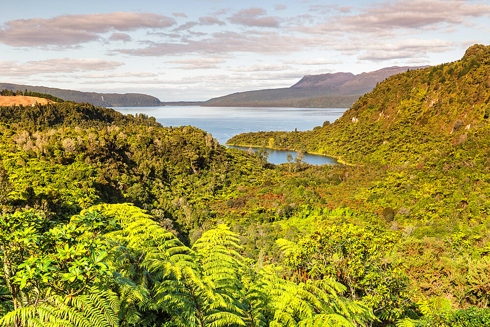 Lake Tarawera, Rotorua, North Island, New Zealand, Pacific