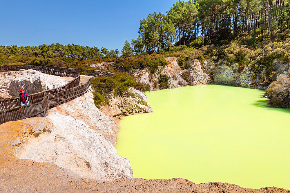 Wai-O-Tapu Thermal Wonderland, Rotorua, Bay of Plenty, North Island, New Zealand, Pacific