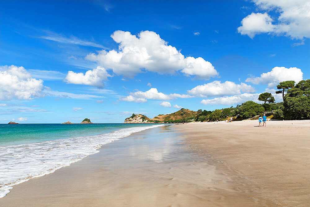 Hahei Beach, Coromandel Peninsula, Waikato, North Island, New Zealand, Pacific