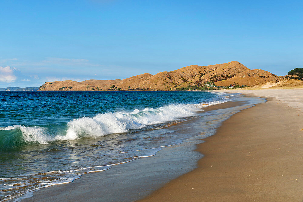 Otama Beach, near Whitianga Village, Coromandel Peninsula, Waikato, North Island, New Zealand, Pacific