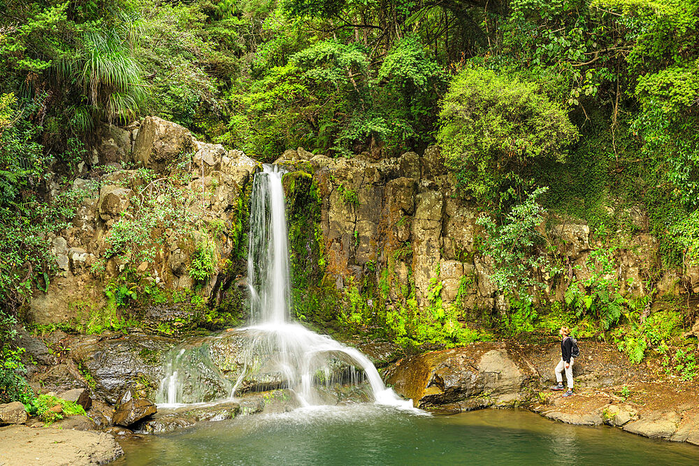 Waiau Falls, Waikato, Coromandel Peninsula, North Island, New Zealand, Pacific