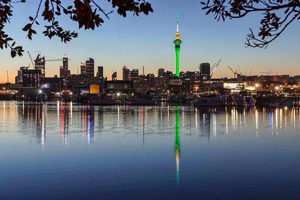 Sky Tower and Skyline at Westhaven Marina, Auckland, North Island, New Zealand, Pacific