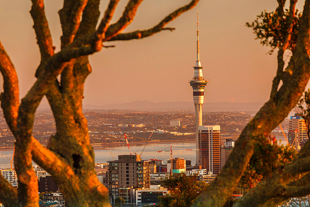 Sunrise at Mount Eden with Sky Tower, Auckland, North Island, New Zealand, Pacific