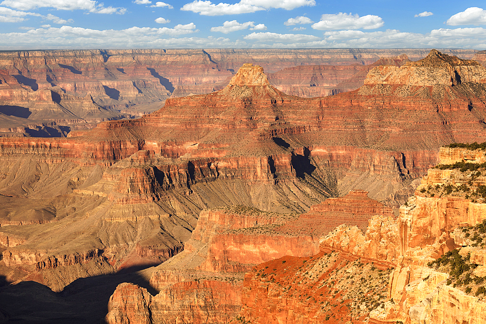 View from Cape Royal, North Rim, Grand Canyon National Park, UNESCO World Heritage Site, Arizona, United States of America, North America