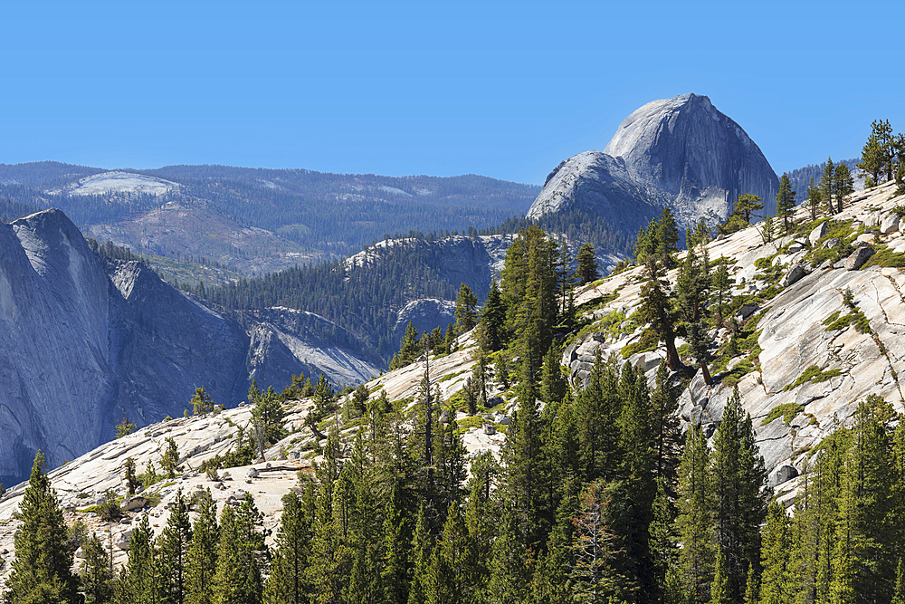 View from Olmsted Point to Half Dome, Yosemite National Park, UNESCO World Heritage Site, California, United States of America, North America