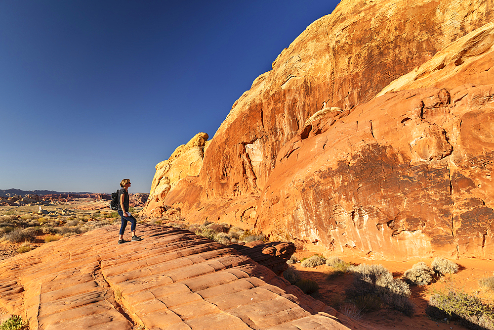 Tourist in Valley of Fire State Park, Nevada, United States of America, North America