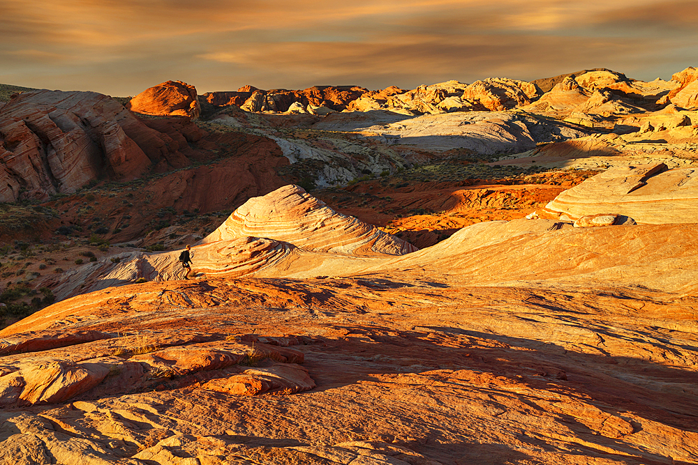 Fire Wave at sunset, Valley of Fire State Park, Nevada, United States of America, North America