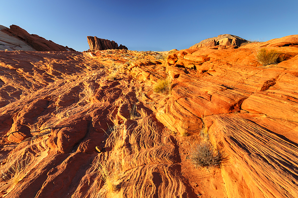 White Domes, Valley of Fire State Park, Nevada, United States of America, North America