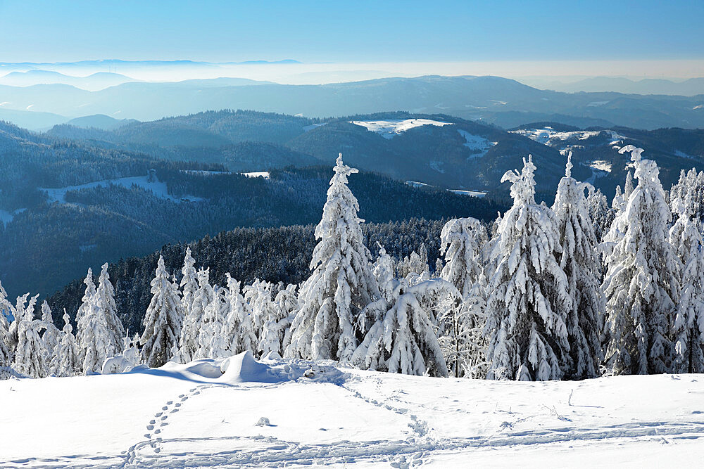 View from Hornisgrinde mountain in winter, Black Forest, Baden Wurttemberg, Germany, Europe