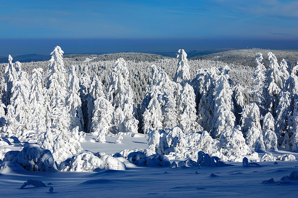 Hornisgrinde mountain in winter, Black Forest, Baden Wurttemberg, Germany, Europe