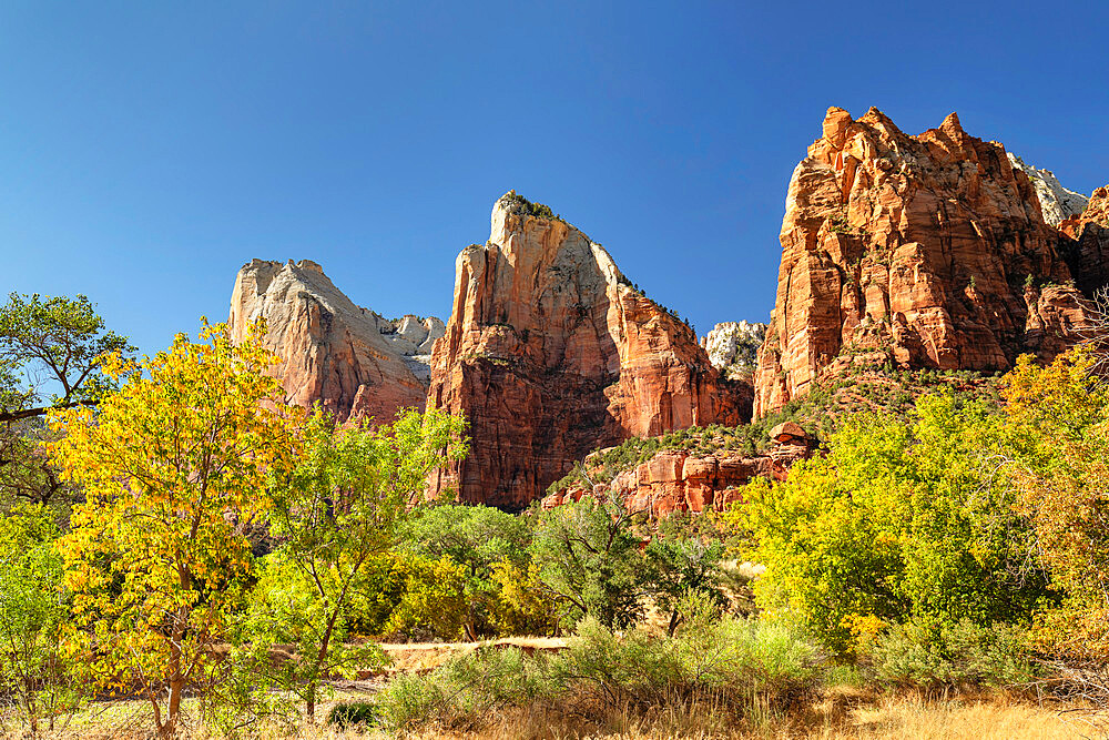 Court of Patriarchs, Zion National Park, Colorado Plateau, Utah, United States of America, North America