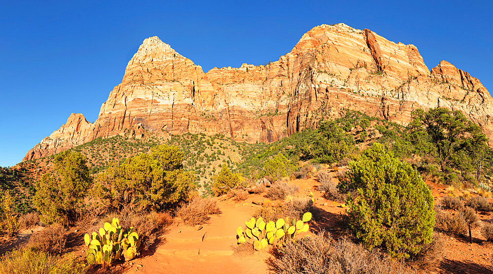 Watchman Mountain, Zion National Park, Colorado Plateau, Utah, United States of America, North America