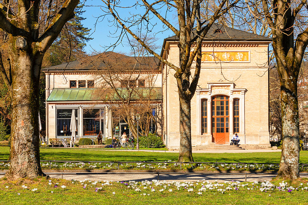 Crocus flowers in front of the Pump Room in Baden-Baden, Black Forest, Baden-Wurttemberg, Germany, Europe