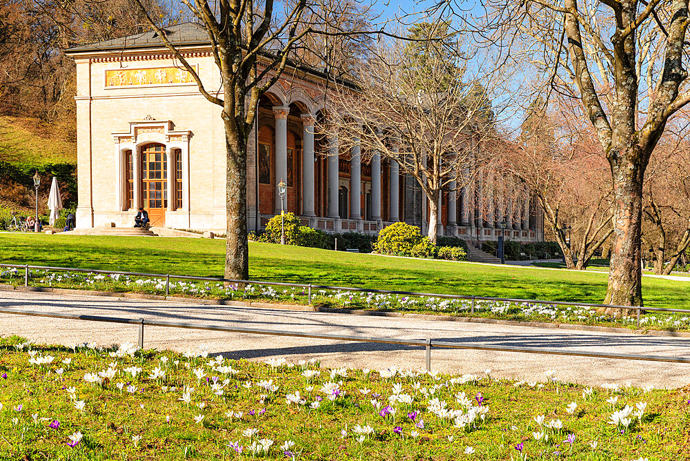 Crocus flowers in front of the Pump Room in Baden-Baden, Black Forest, Baden-Wurttemberg, Germany, Europe