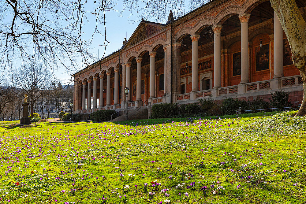 Crocus flowers in front of the Pump Room in Baden-Baden, Black Forest, Baden-Wurttemberg, Germany, Europe