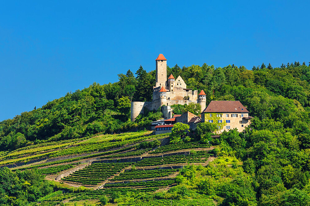 Hornberg Castle, Neckarzimmern, Neckartal Valley, Baden-Wurttemberg, Germany, Europe