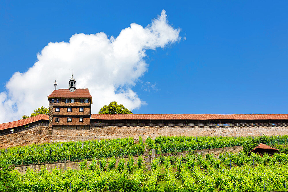 Esslingen castle, Esslingen am Neckar, Baden-Wurttemberg, Germany, Europe