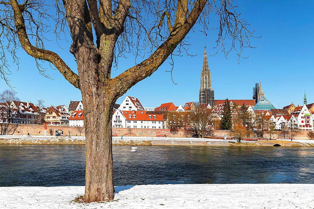 View over Danube River to Ulm Cathedral, Ulm, Swabian Alps, Baden-Wurttemberg, Germany, Europe