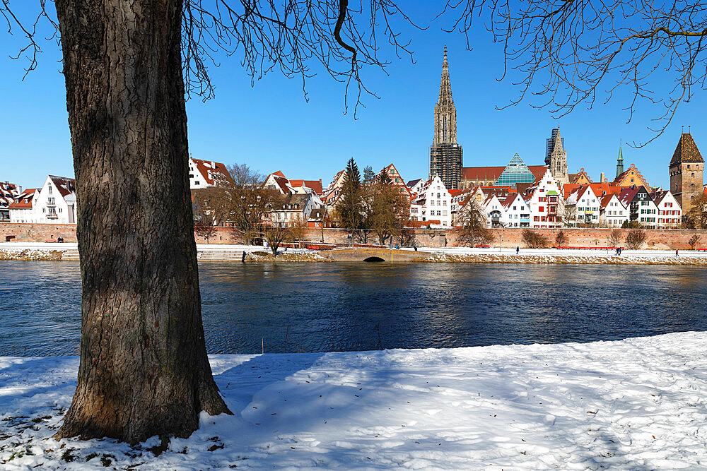 View over Danube River to Ulm Cathedral, Ulm, Swabian Alps, Baden-Wurttemberg, Germany, Europe