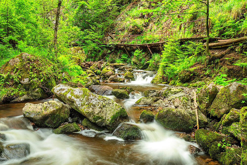 Ravenna Gorge along Ravenna River, Breitnau, Hollental Valley, Black Forest, Baden-Wurttemberg, Germany, Europe