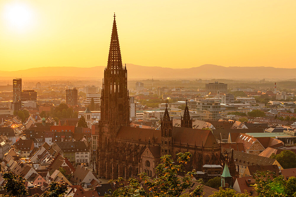 Freiburg Cathedral at sunset, Freiburg, Black Forest, Baden-Wurttemberg, Germany, Europe