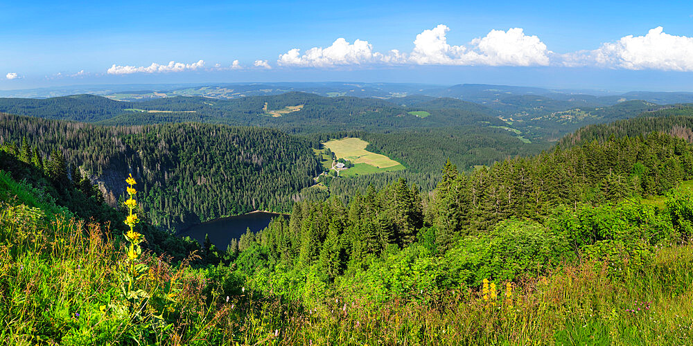 View from Seebuck peak at Feldberg Mountain on Feldsee Lake, Black Forest, Baden-Wurttemberg, Germany, Europe