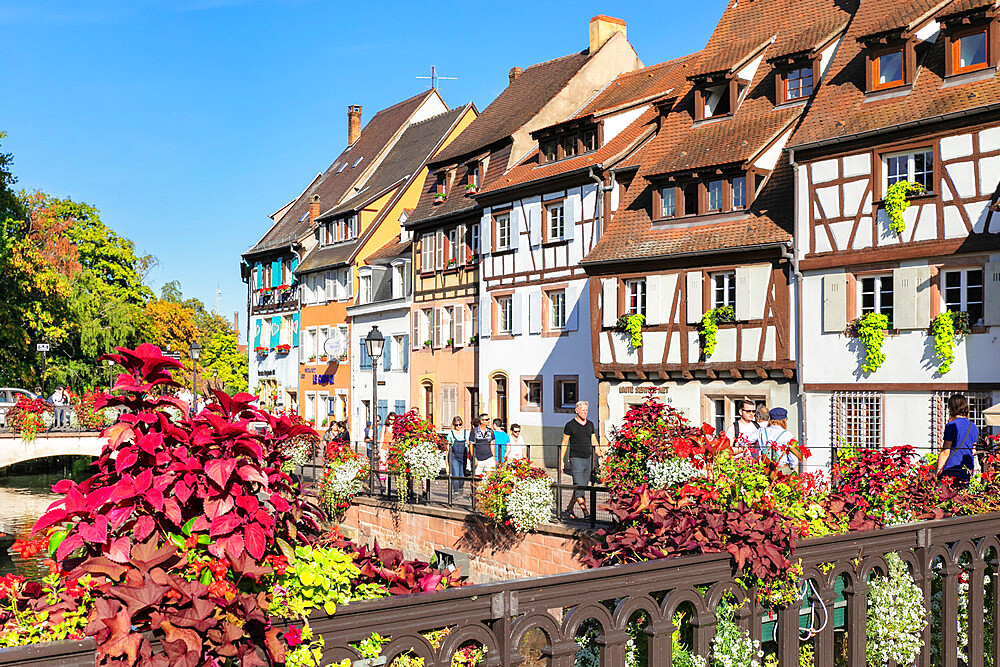 Petite Venise district, Colmar, Alsace, Haut-Rhin, France, Europe