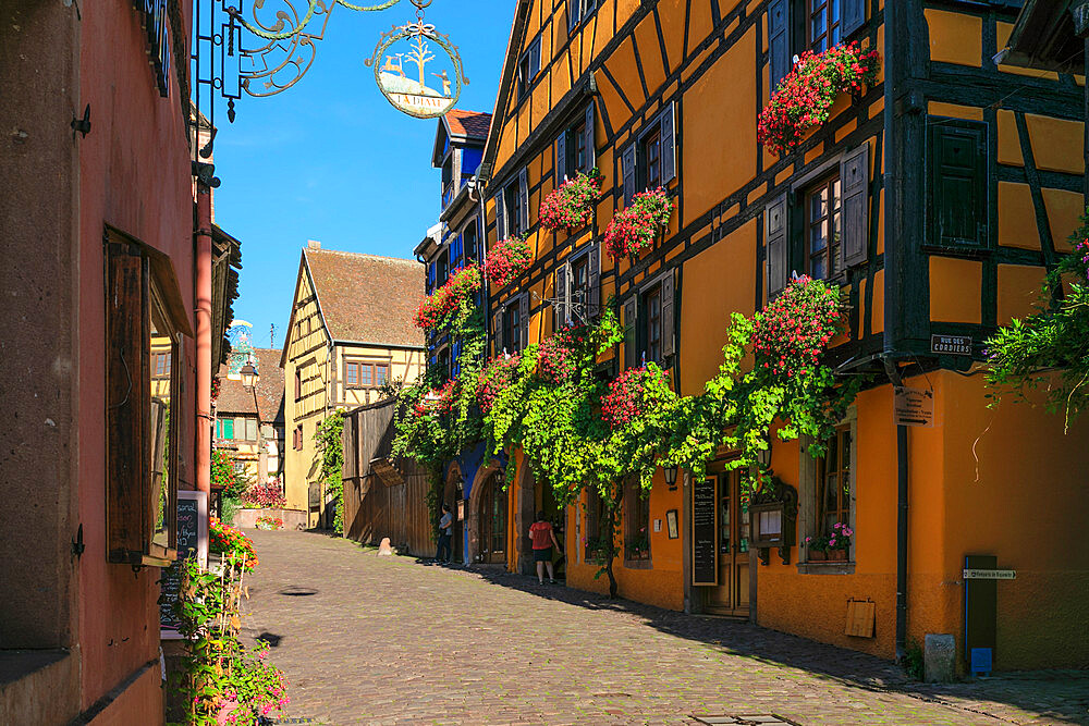 Rue du General de Gaulle, Riquewhir, Alsace, Alsatian Wine Route, Haut-Rhin, France, Europe