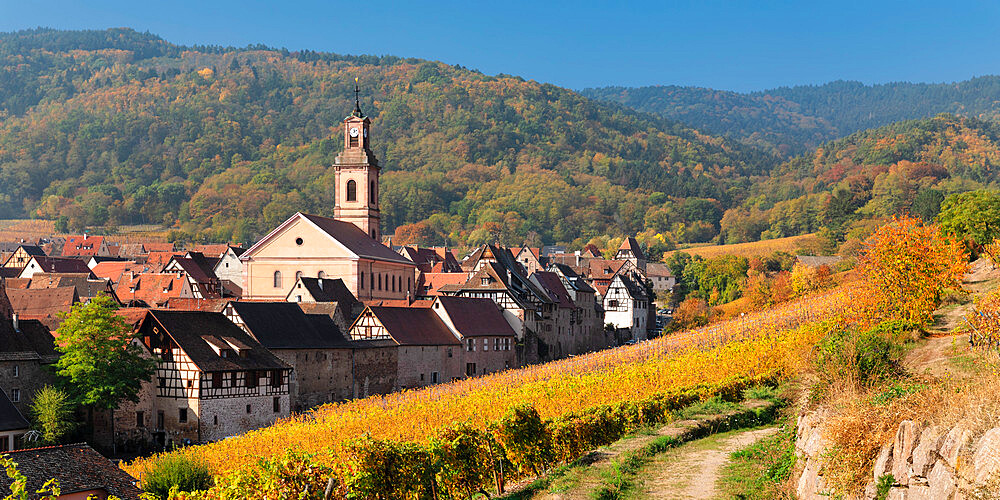 Riquewhir in autumn, Alsace, Alsatian Wine Route, Haut-Rhin, France, Europe