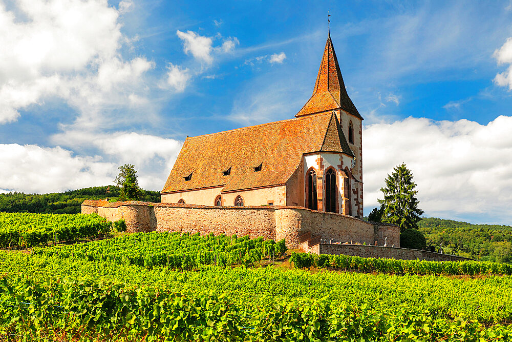 Fortified church of Saint Jacques, Hunawihr, Alsace, Alsatian Wine Route, Haut-Rhin, France, Europe