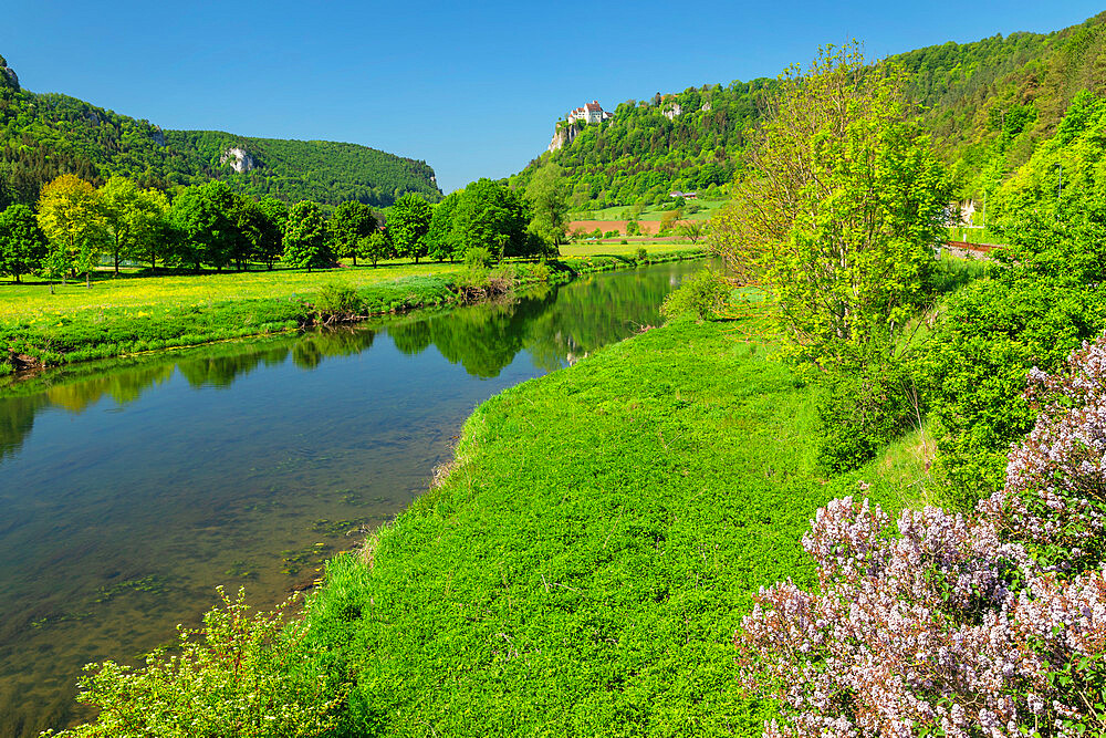 Werenwag Castle, Hausen an der Donau, Danube Valley, Swabian Jura, Baden-Wurttemberg, Germany, Europe